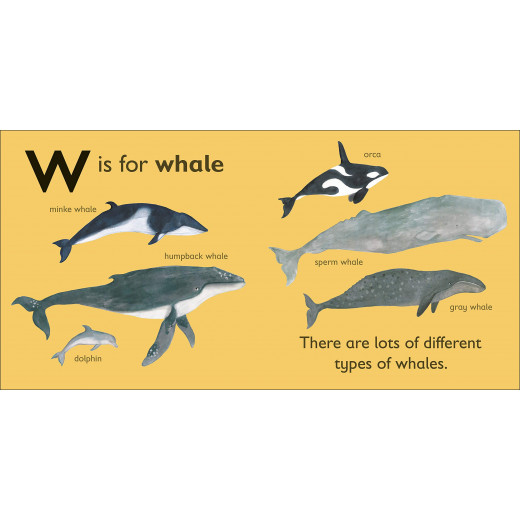 DK Book : W Is For Whale