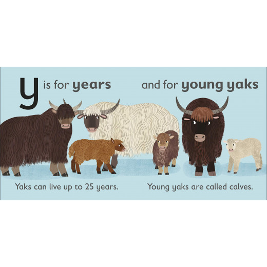 DK Book : Y is for Yak