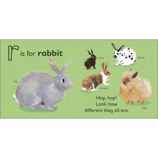 Dk Books Publisher Book: ( R ) Is For Rabbit