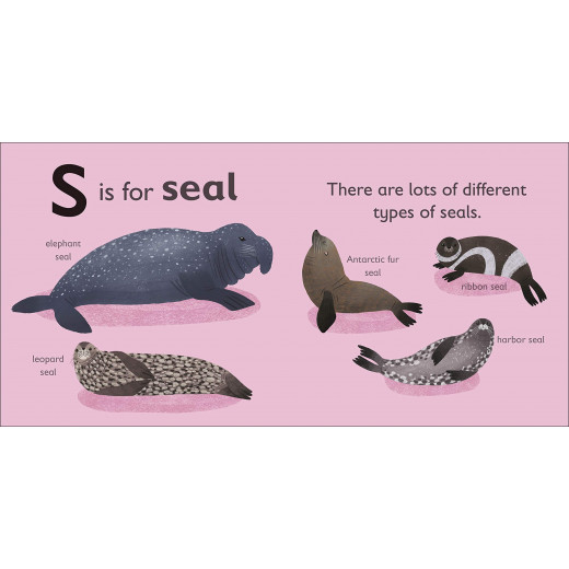 Dk Books Publisher Book: ( S )  Is For Seal