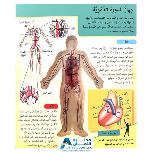 كتاب اكتشف جسم الانسان للاطفال