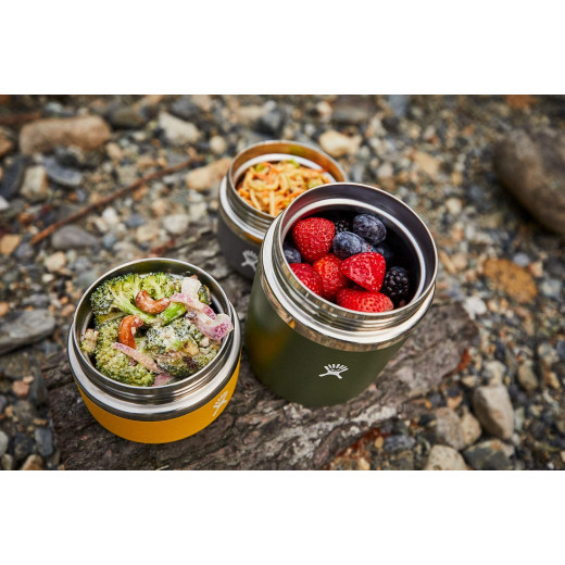 Hydro Flask Insulated Food Jar - Stainless Steel with Leak Proof Cap, Blackberry