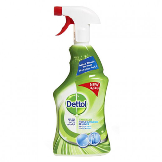 Dettol Mold Remover, 500ml