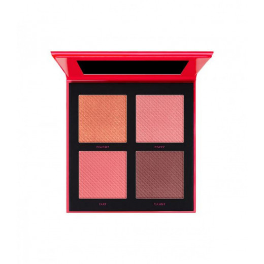 Forever 52 Cheek To Cheek Blush Palette – DGB002