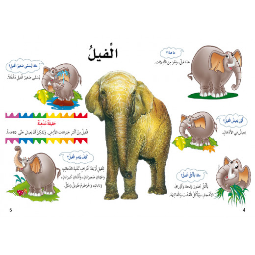Dar Al Manhal My First Questions And Answers: Wild Animals