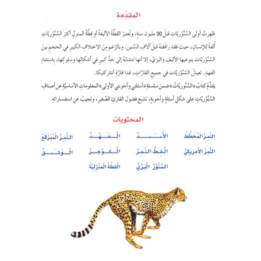 Dar Al Manhal My First Questions And Answers: Felines