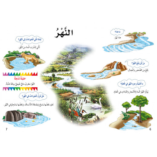 Dar Al Manhal My First Questions And Answers: Rainforests