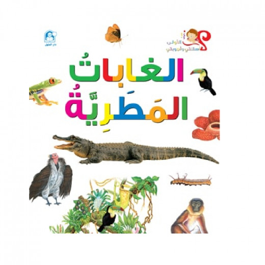 Dar Al Manhal My First Questions And Answers: Rainforests