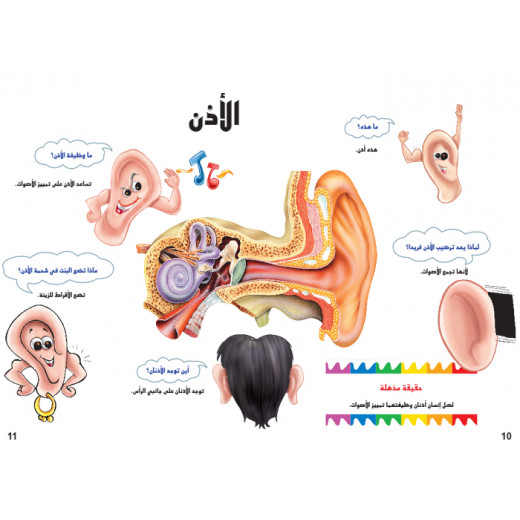 اسئلتي واجوبتي الاولى: جسم الانسان من دار المنهل