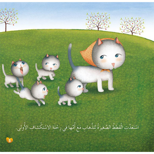 Dar Al Manhal Stories: Kitten Series: 03 Colors