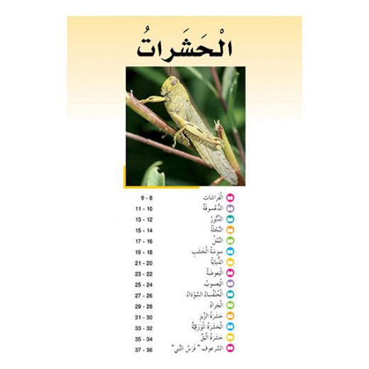 Dar Al Manhal Stories: The Amazing Animals of the World Series: Insects