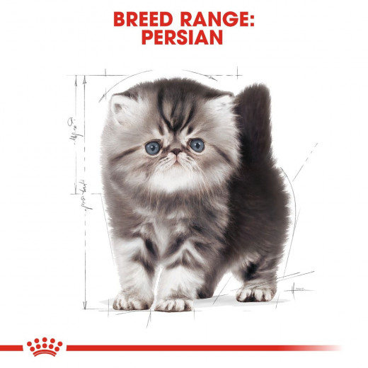 Royal Canin Kitten Persian Cats Food, 400 Gram