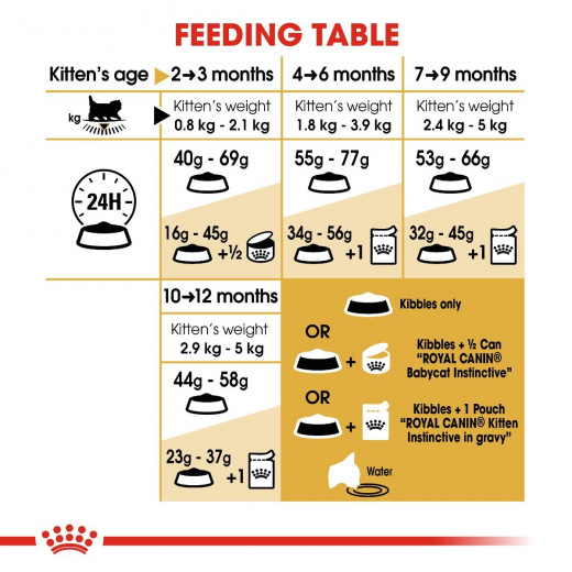 Royal Canin Kitten Persian Cats Food, 400 Gram