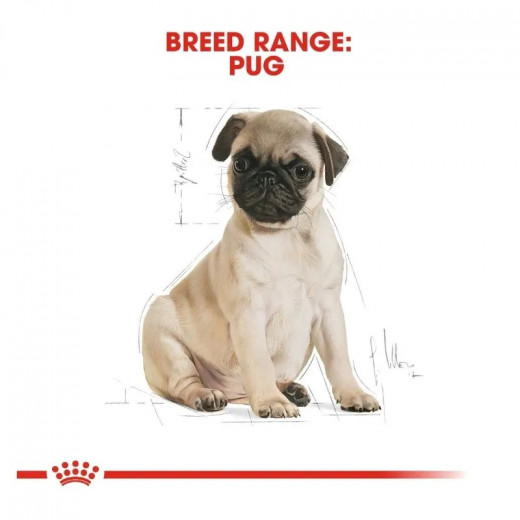 Royal Canin Pug Puppy Dry Dog Food, 1.5 Kg