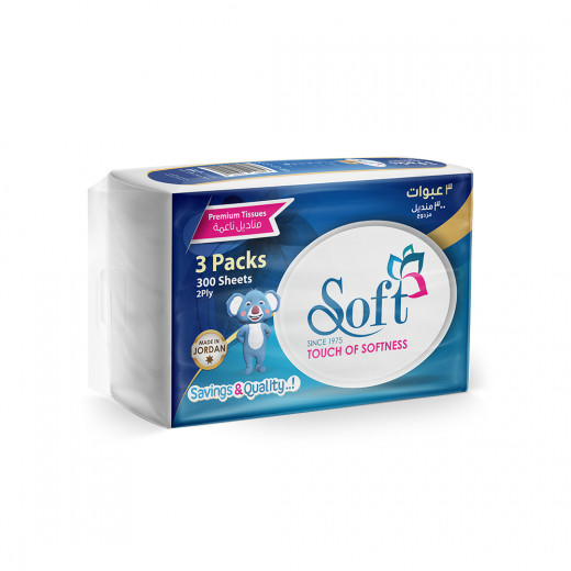 Soft Tissues Nylon Pack, 300 Sheet, 2 Ply, 3 Packs