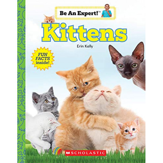 Kittens, Be An Expert, paperback