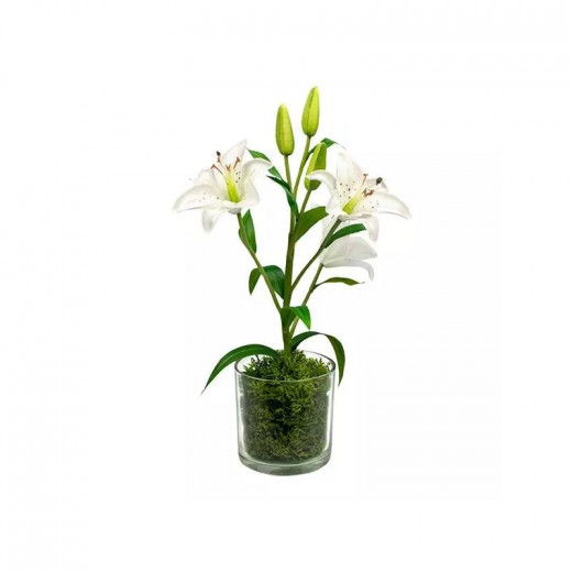 Nova Home "Moss Lily" Artificial Flower Arrangement, White Color, 35 Cm
