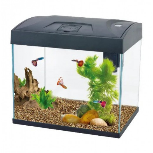 Aquarium Fish Tank Mini, Black Color, Size: 37 * 23.5 * 33.5 Cm, 20 Liter