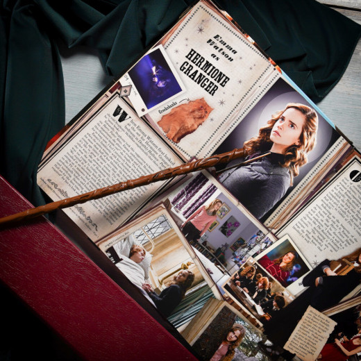 Wizarding World - Hermione Granger's Wand