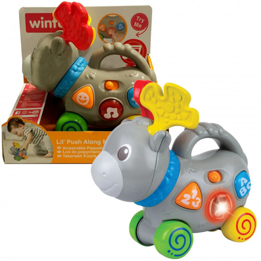 WinFun Light 'n Sounds Remote Control