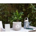 Madame Coco Aimé Medium Size Flower Pot