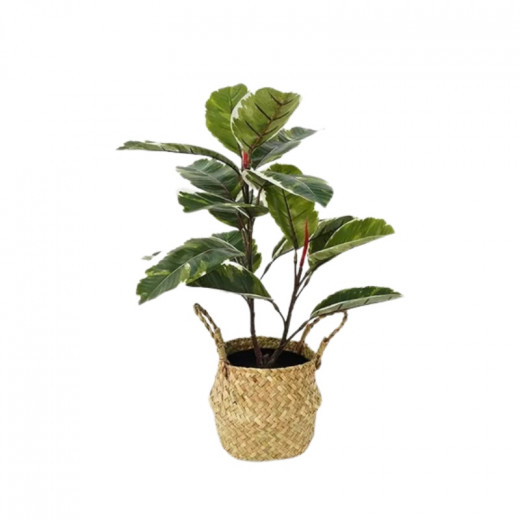 Nova home "Rubber" artificial tree  - variegated  55 cm