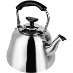 Delcasa Stainless Steel Whistling Kettle, 2.0L DC2106