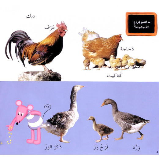 Photo Images of the Animals in Arabic script