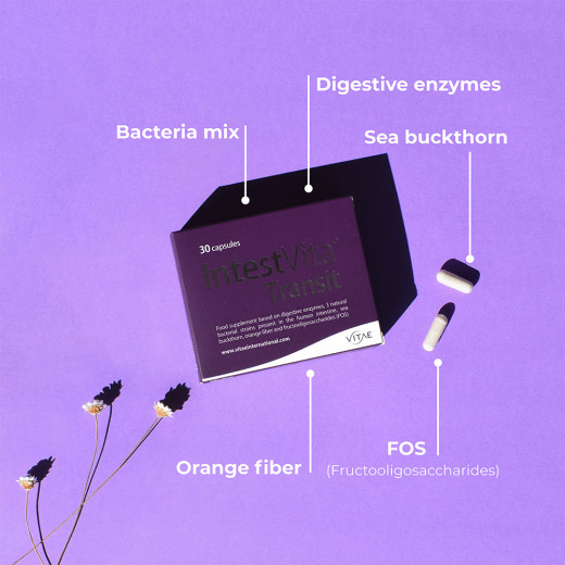 IntestVita Transit: مكمل غذائي لتنظيم حركة الأمعاء