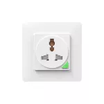 Moes Smart Wall Socket, White