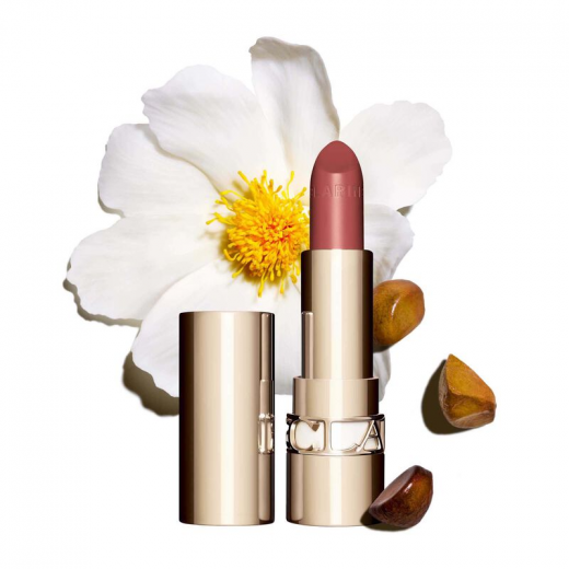 Clarins Joli Rouge 3.5 gr Lipstick  731