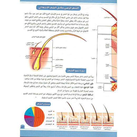 تجربة تطبيقية عن الحواس الخمس