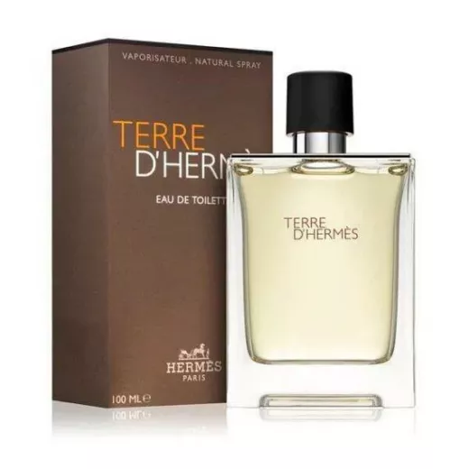 Terre D Hermes Eau De Toil 100ml Ns