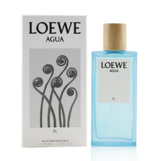 Loewe Agua L'Eau de Toilette 100ml