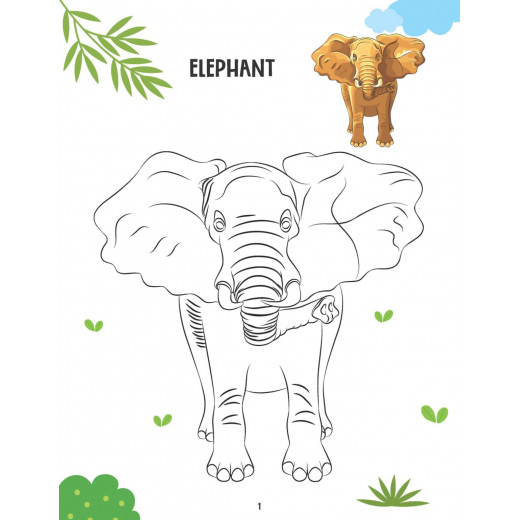 Dreamland Creative Coloring Book Animals