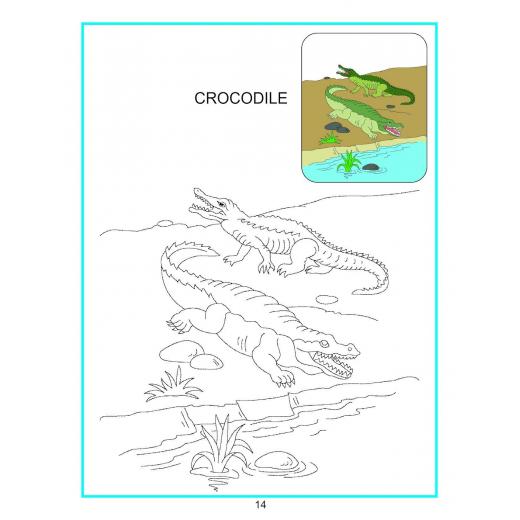 Dreamland | Creative Coloring Book | Water Animals