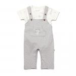 BiOrganic Koala Jungle Slopet Overall Grey (9-12 Months)