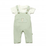 BiOrganic Koala Jungle Slopet Overall Mint (6-9 Months)