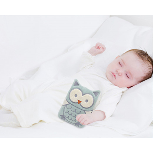 Babyjem Cherry Seeds Filled Velvet Colic Pillow / Owl / Green