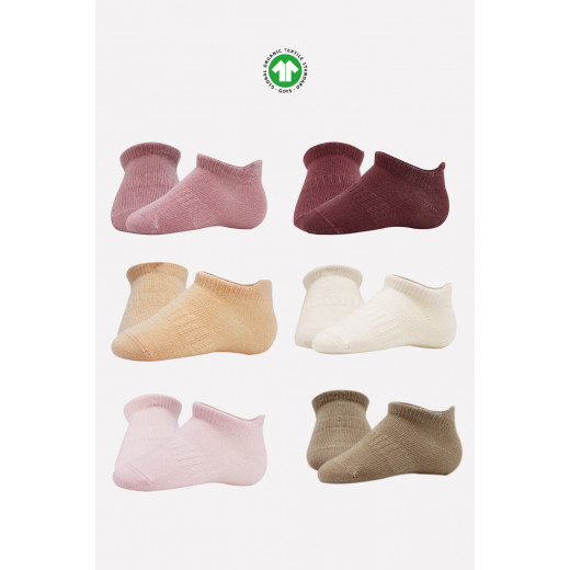 Bistyle 6-Pairs Combed Liner Socks (12-24 m) Colored