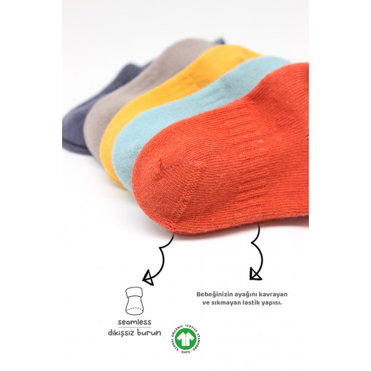 Bistyle 6-Pairs Combed Liner Socks (6-12 m) Colored