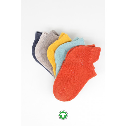 Bistyle 6-Pairs Combed Liner Socks (6-12 m) Colored