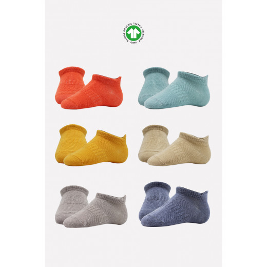 Bistyle 6-Pairs Combed Liner Socks (24-36 m) Colored