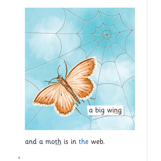 The Web: My Letters and Sounds Phase Three Phonics Reader