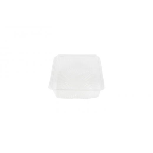 RZ Plastic Containers Rectangle Hinged 20 PCS