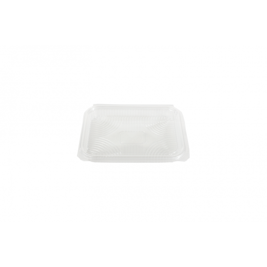 RZ Plastic Containers Rectangle Hinged - 500 cc - 25 PCS