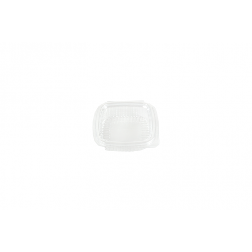 RZ Plastic Containers Rectangle Hinged 100 PCS